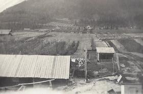 Truscott farm, Erickson, B.C.
