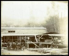 Mill and crew, saving bridge timbers at foot of Mount Hermit, Rogers Pass