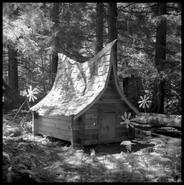Small house at Enchanted Forest