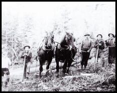 Five loggers with a team of horses