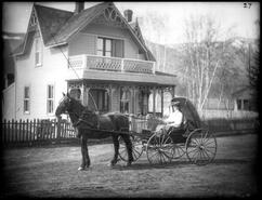 Unidentified woman in horse and buggy in front of a house in Armstrong at First St. South of Railway Ave.