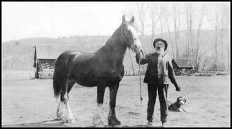 Unidentified man with horse