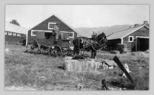 Mr. Adamsom of Salmon Arm with horses and wagon