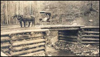 Horse-drawn buggy crossing Murphy Creek