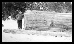 Albert Johnson logging at Mabel Lake