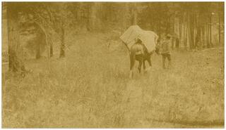 Bert Thomas leading pack horse during C.P.R. surveyor tour