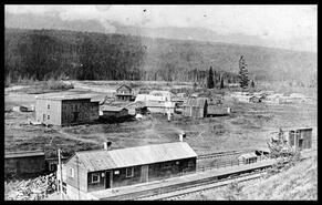 Early view of Golden