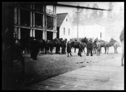 Horse buying for W.W. I in front of Tulameen Hotel on Bridge Street