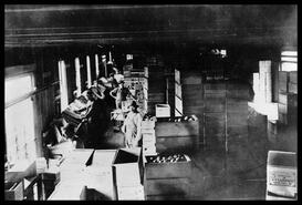 Workers sorting and packing apples at the James Rooke packing house