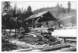 Stacked slab lumber or trimmings at Cade Sawmill, Burr Mountain