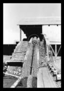 Log conveyor at sawmill