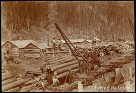 Loading logs with a steam loader, Elk Lumber Co., Camp 9