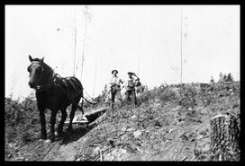 Two men and horse hauling logs at unidentified road camp