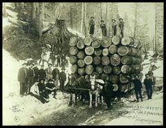 Record load of B.C. cedar, Bowman Lumber Company, Camp 3, Fish River