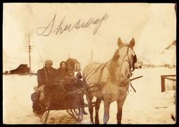 Horse pulling a sleigh with family through the snow
