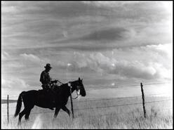 Man riding fence on Douglas Lake Ranch
