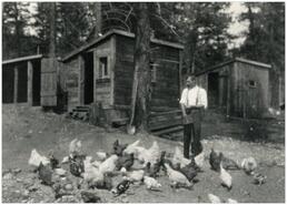 Harry Peters feeding chickens near outbuildings