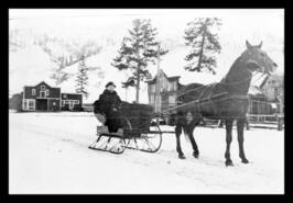 Susan Bush in horse-drawn sleigh