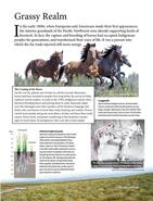 LCMA_Cattle_Kings_and_Cowboys.pdf-3