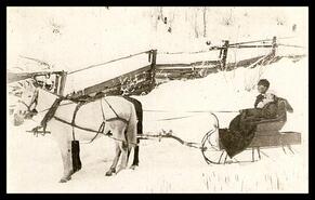 Henry and Isobel Nixon in sleigh at Perry Siding