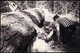 Arthur Marty sawing a log