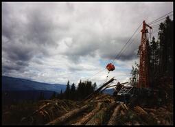 High lead logging