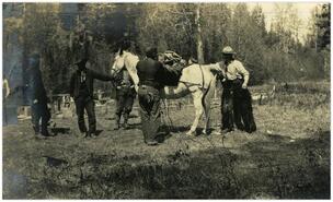Preparing pack horse during C.P.R. surveyor tour