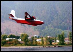 Shoreline with plane after 2003 forest fire
