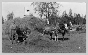 Mr. and Mrs. Peake harvesting hay in Hullcar