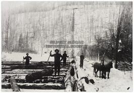 Horse logging in the Slocan