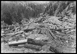 Log debris along ravine with culvert at Northcote Caesar mine, Big Bend