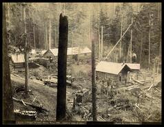 'White Water' camp, B.C. general view of camp