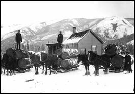 Three horse-drawn logging sleighs in front of the Armstrong Sawmill office