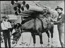 Pack horses loaded with pipe for mine