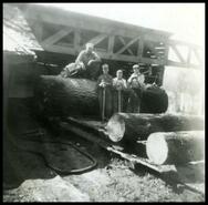 Crew posing with logs at Sawyer's Mill