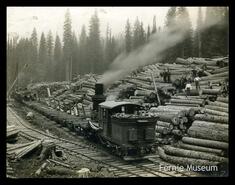 Logging operations at Cedar Valley