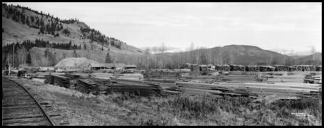 Panoramic view of stacked lumber in Lumby lumberyard