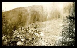 Men at edge of cleared forest, unknown location