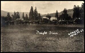 Four freight wagons and horse teams ready to go 