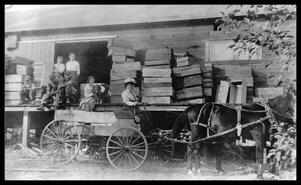Mrs. C. Atwood in wagon and a group of employees sitting on a loading dock, Grand Forks, B.C.