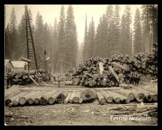 Logging operations at Cedar Valley