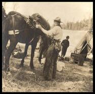 Cowboy loading pack horse