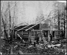 Log cabin under construction at the site of the sawmill near Waneta where James Seeley came from Washington