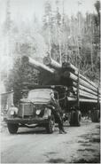Man in front of a logging truck