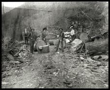 Sawing and splitting wood in Revelstoke area