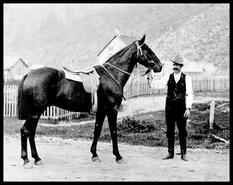 H.G. Rayson and his horse