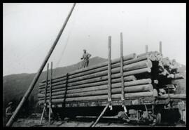 Loading logs onto a rail car near Lemon Creek