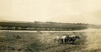 Harvesting hay on the Creston Flats