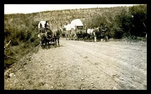 Horse caravan, unknown location