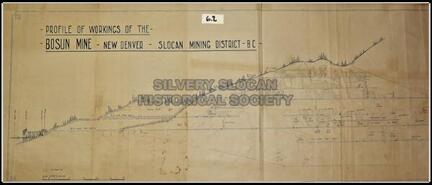 Profile of workings of the Bosun Mine - New Denver, Slocan Mining District